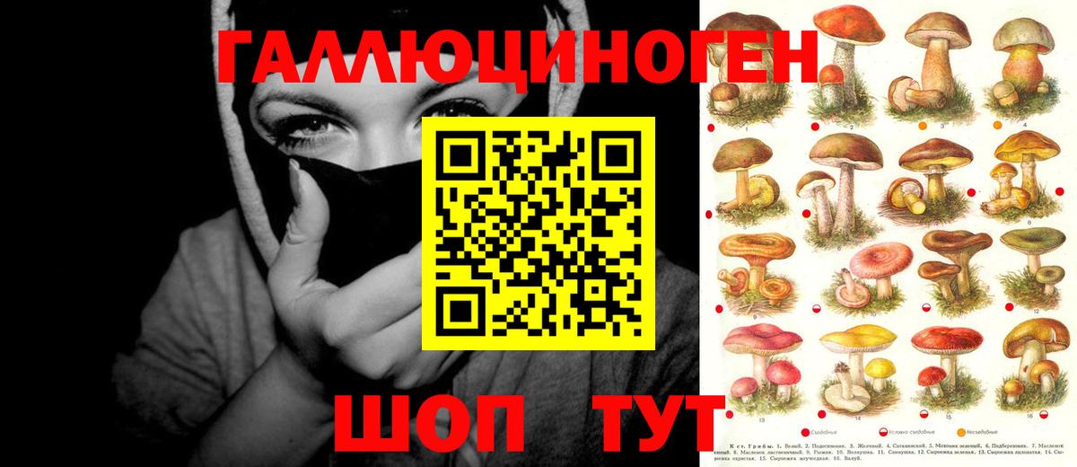 Галлюциногенные грибы Cubensis  Вход с VPN  Спасск-Дальний  Галлюциногенные грибы Psilocybine cubensis 
